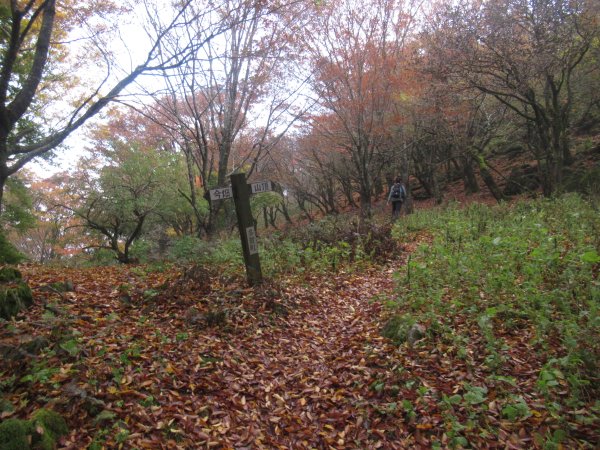 登山道